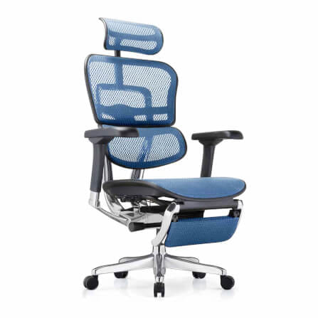 เก้าอี้เพื่อสุขภาพ DF PROCHAIR รุ่น Ergo Elite Pro+ สีน้ำเงิน_2