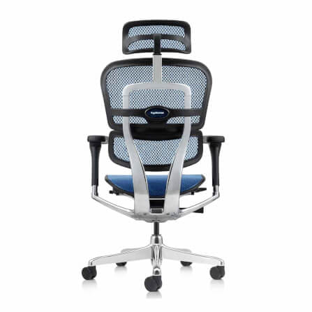 เก้าอี้เพื่อสุขภาพ DF PROCHAIR รุ่น Ergo Elite Pro สีน้ำเงิน_3