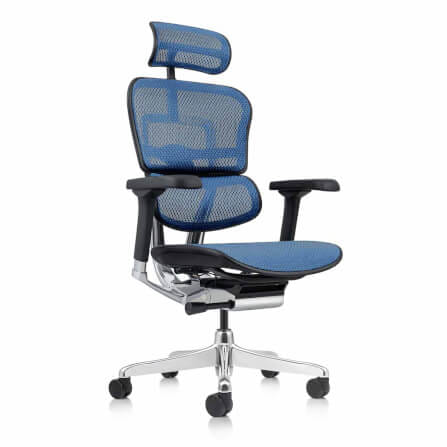 เก้าอี้เพื่อสุขภาพ DF PROCHAIR รุ่น Ergo Elite Pro สีน้ำเงิน_4