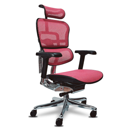 เก้าอี้เพื่อสุขภาพ DF PROCHAIR รุ่น Ergo Elite Pro สีชมพู_4