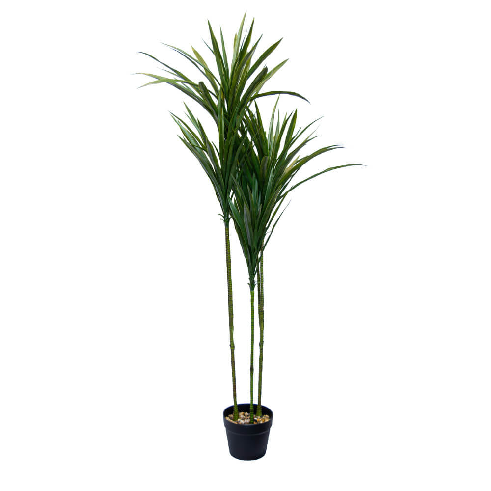 ต้นไม้ประดิษฐ์ในกระถาง CHIC REPUBLIC รุ่น DRAGON TREE/110 สีเขียว_0