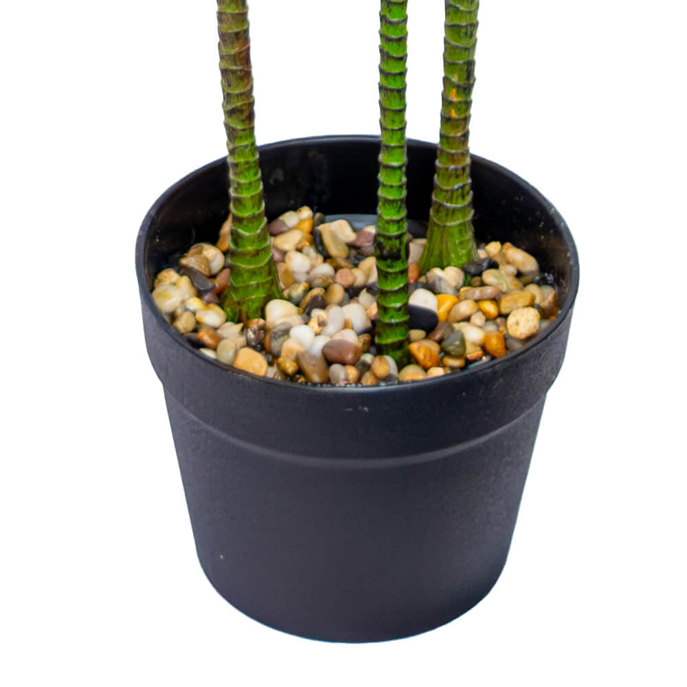 ต้นไม้ประดิษฐ์ในกระถาง CHIC REPUBLIC รุ่น DRAGON TREE/110 สีเขียว_2