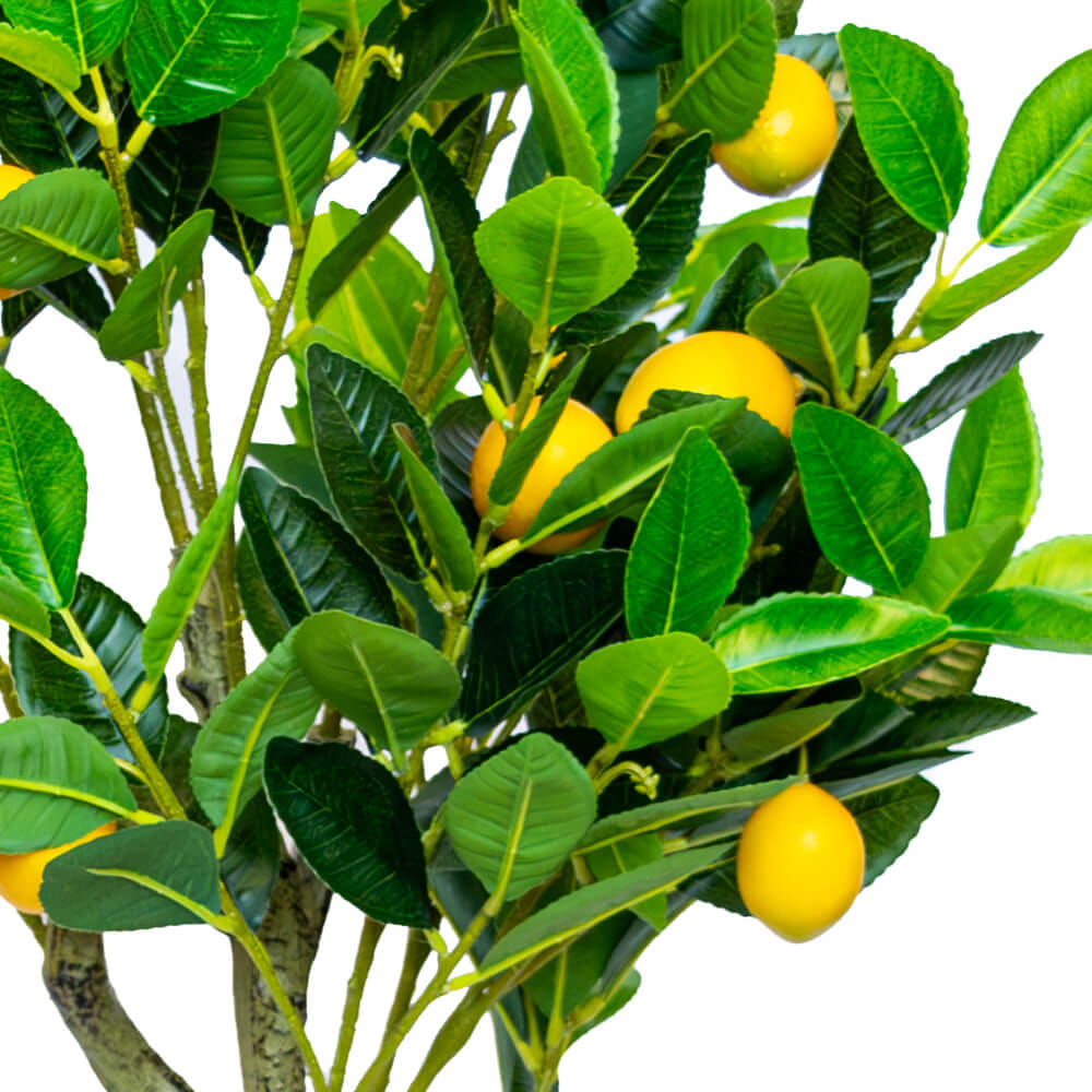 ต้นไม้ประดิษฐ์ในกระถาง CHIC REPUBLIC รุ่น LEMON TREE/120 สีเหลืองและเขียว_4