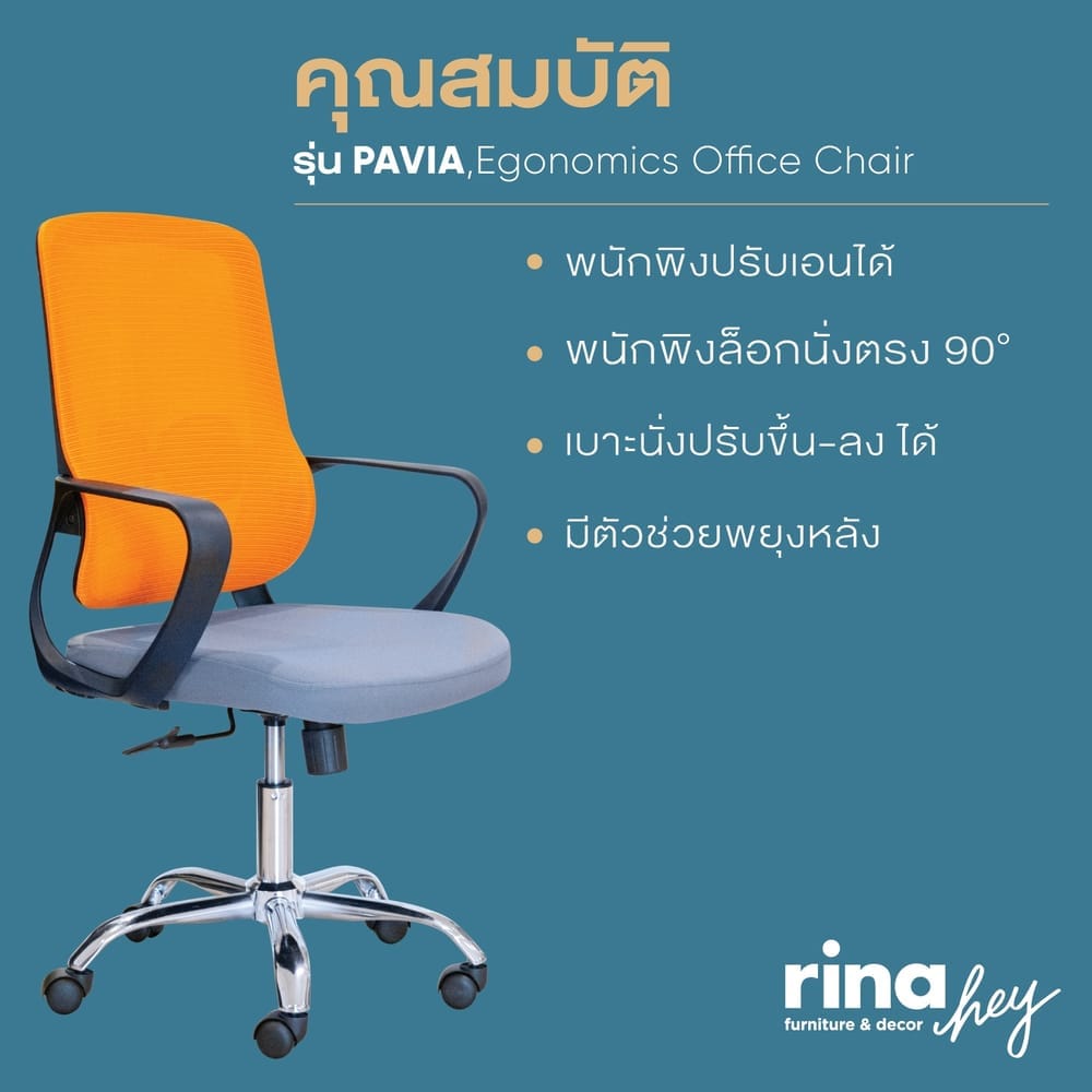เก้าอี้สำนักงานเพื่อสุขภาพ RINA HEY รุ่น PAVIA สีเทา