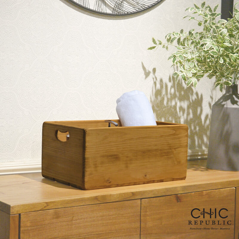 กล่องเก็บของ CHIC REPUBLIC รุ่น CARTER/L_4