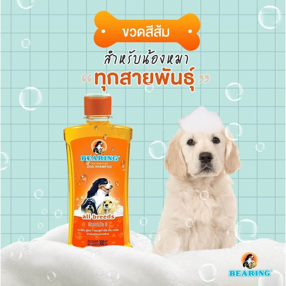 แชมพูกำจัดเห็บหมัดสำหรับสุนัข BEARING สูตร TICK & FLEA ขนาด 300ML สำหรับสุนัขทุกสายพันธ์ุ_2