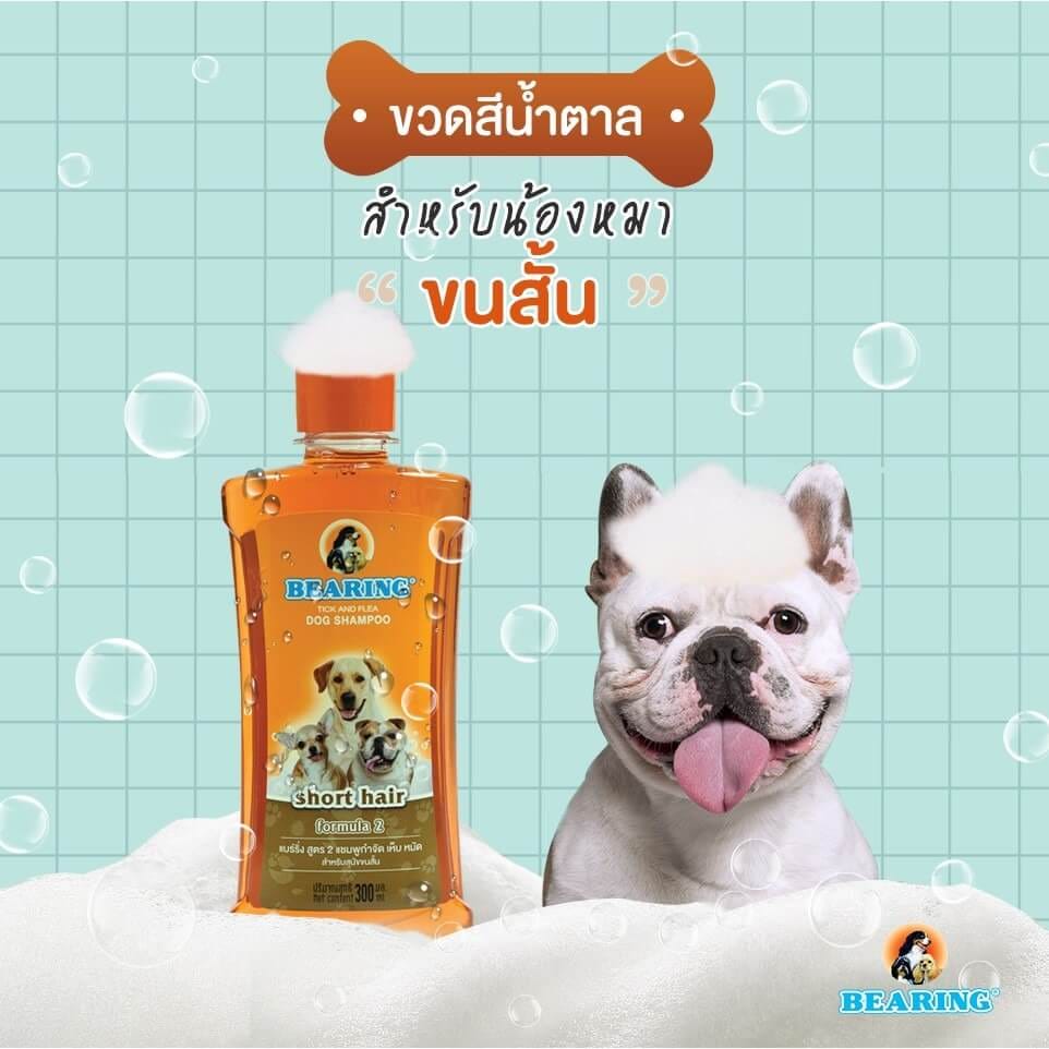 แชมพูกำจัดเห็บหมัดสำหรับสุนัข BEARING สูตร TICK & FLEA ขนาด 300ML สำหรับสุนัขขนสั้น_3