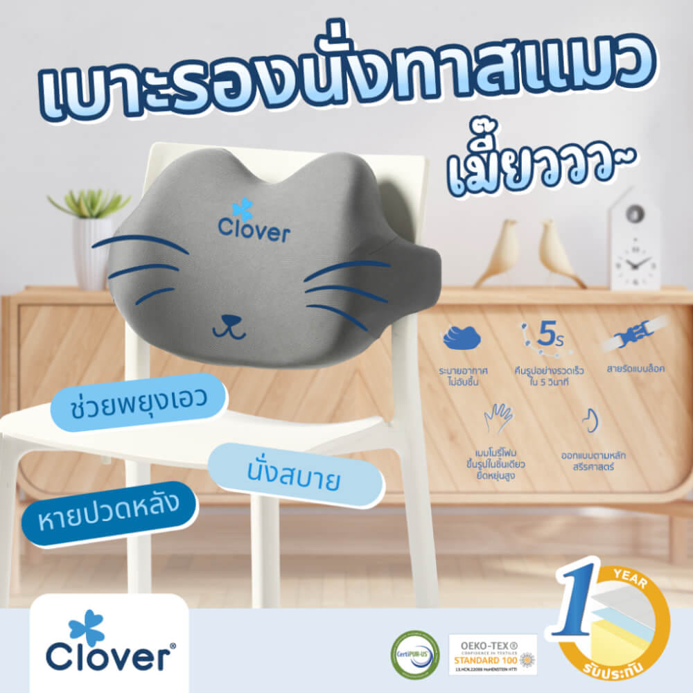 เบาะรองหลัง CLOVER C-EGB272_1