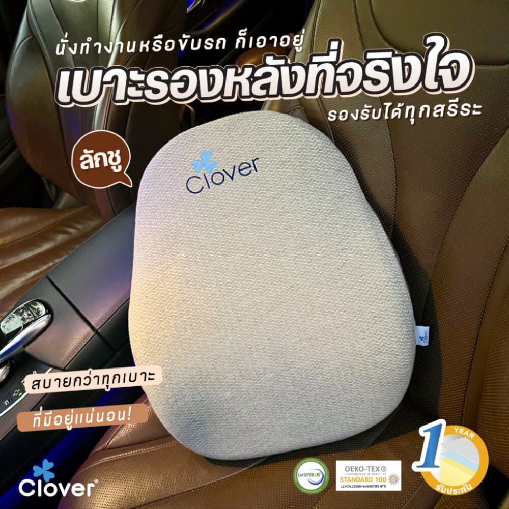 เบาะรองหลัง CLOVER C-EGB271_2