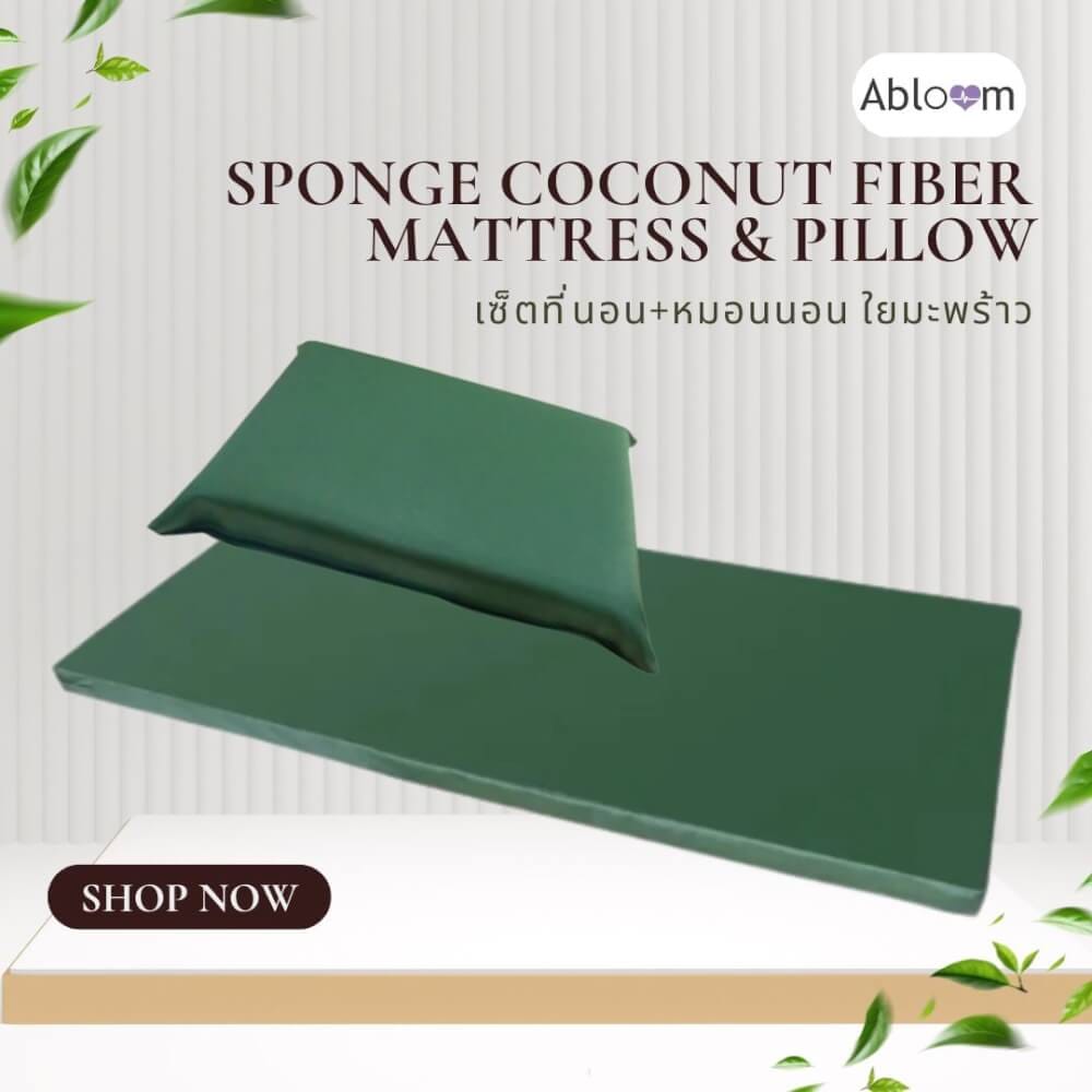 เซ็ตที่นอนและหมอน ใยมะพร้าว ABLOOM 0040085008010_1