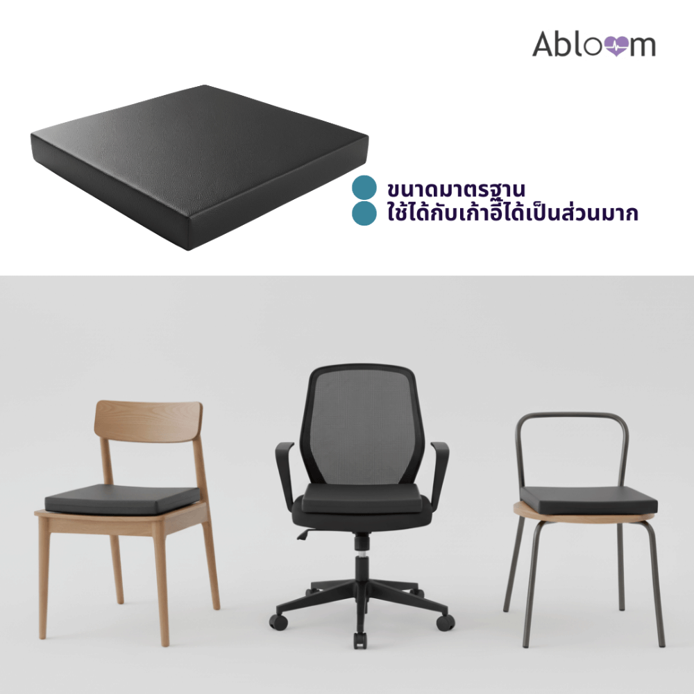 เบาะรองนั่ง ABLOOM 0190075004017 ขนาด 40&times;40&times;5 ซม. สีดำ