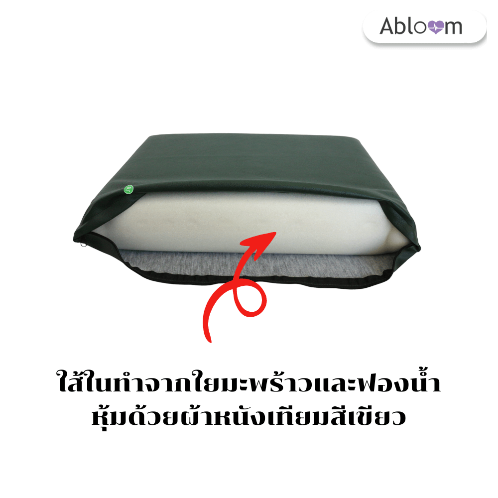 หมอนนอน ใยมะพร้าว หุ้มหนังเทียม ABLOOM 0080037001010_5