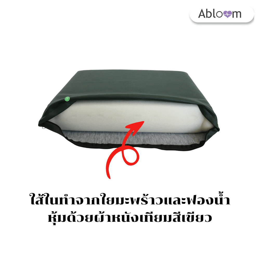 เซ็ตที่นอนและหมอน ใยมะพร้าว ABLOOM 0040085008010_5