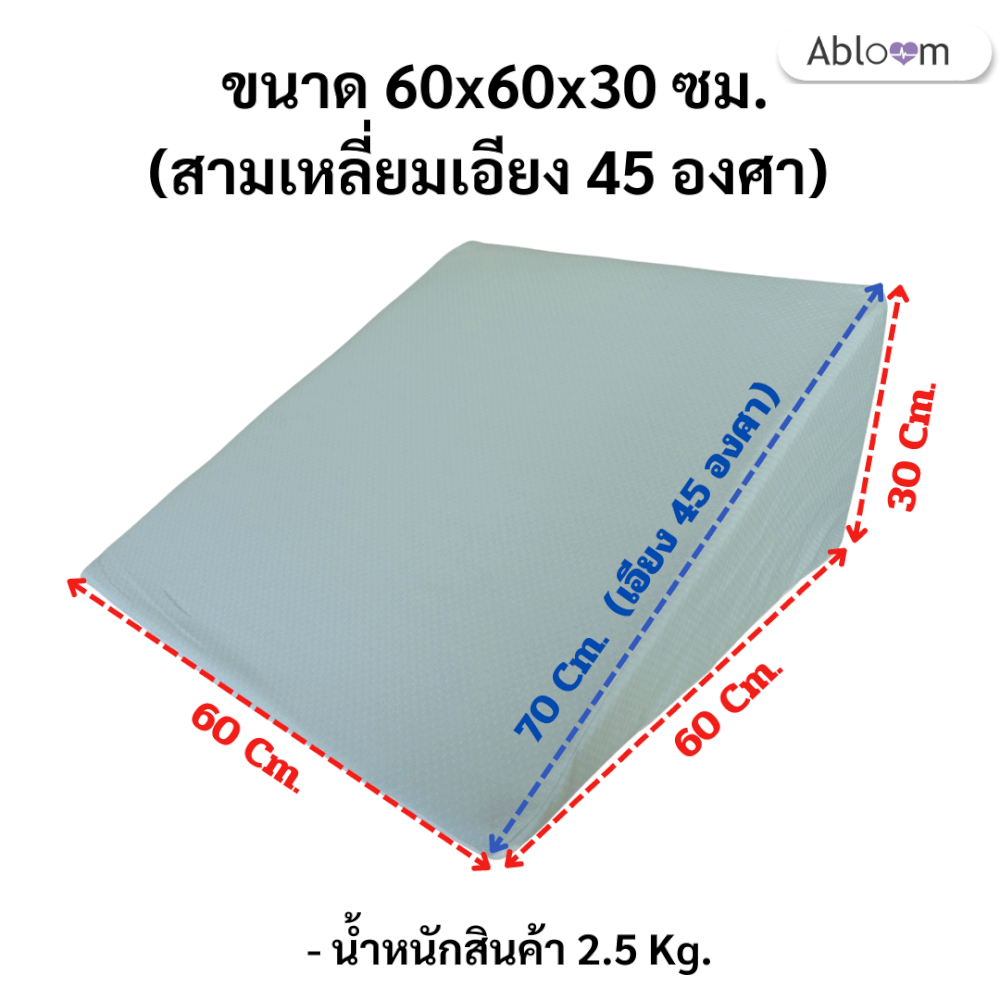 หมอนสามเหลี่ยม  รอง คอ หลัง ขา  ABLOOM 0190058003013