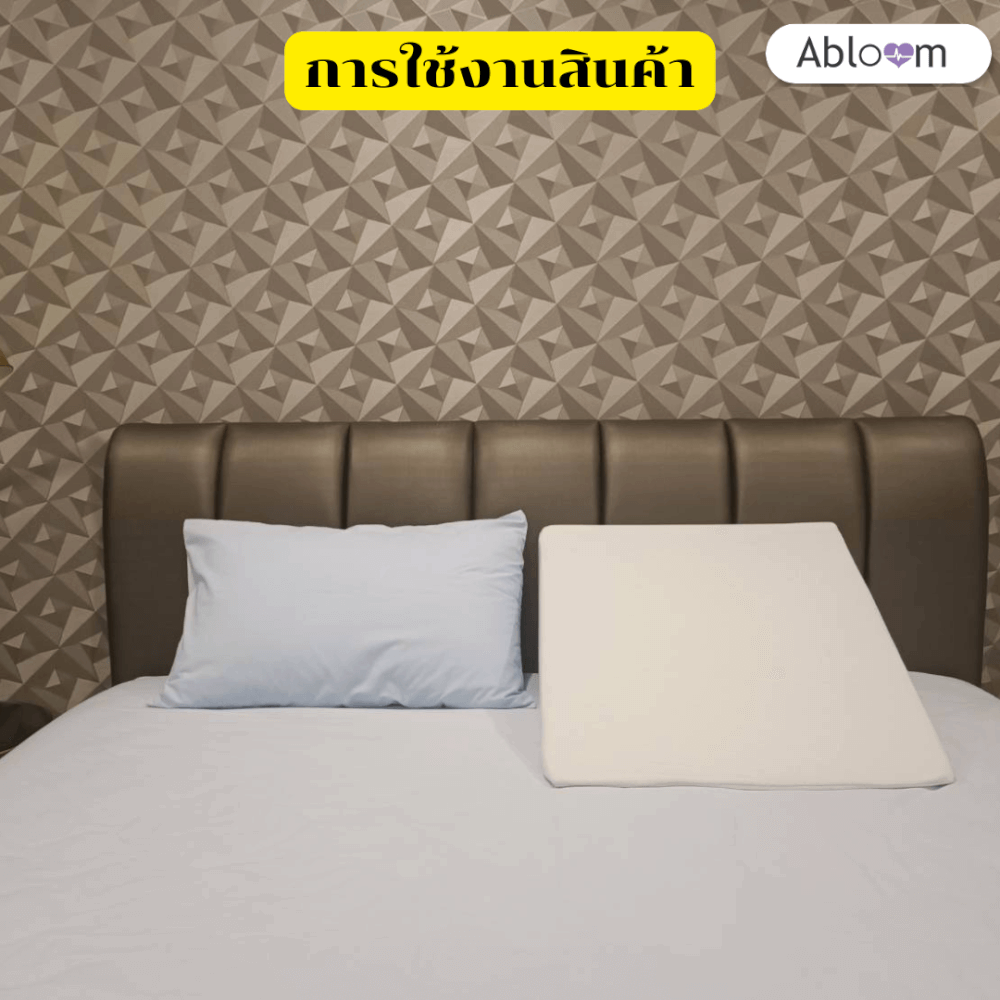 หมอนสามเหลี่ยม  รอง คอ หลัง ขา  ABLOOM 0190058003013
