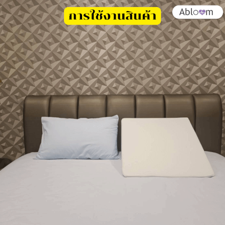 หมอนสามเหลี่ยม  รอง คอ หลัง ขา  ABLOOM 0190058003013_8
