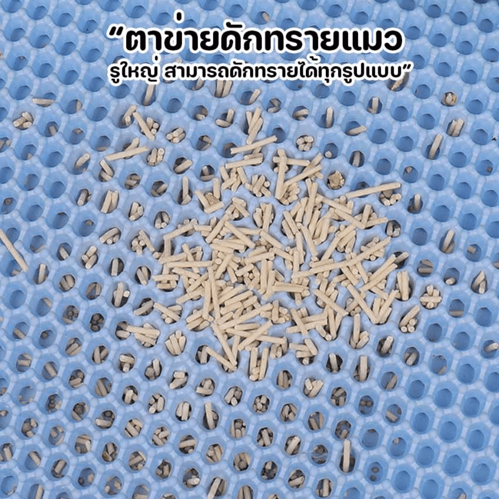 แผ่นดักทรายแมว พรม 2 ชั้น THAI SUN SPORT รุ่น PET0025-BR