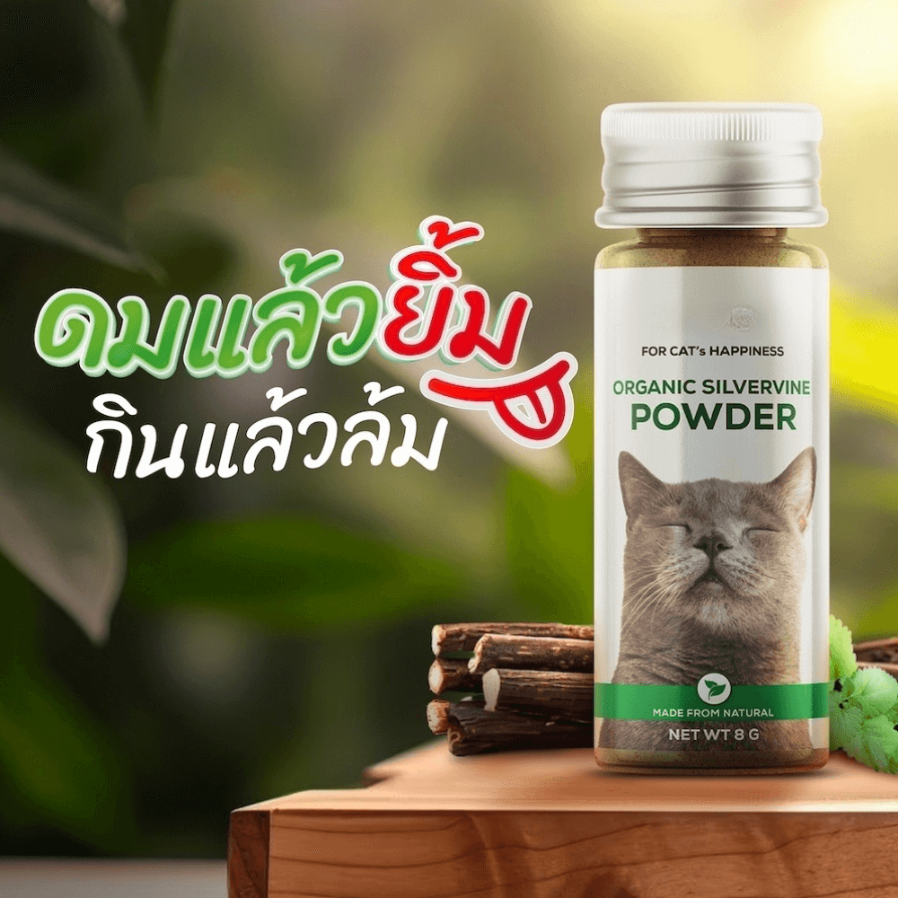 แคทนิปแบบผงสำหรับแมว THAI SUN SPORT รุ่น PET0009