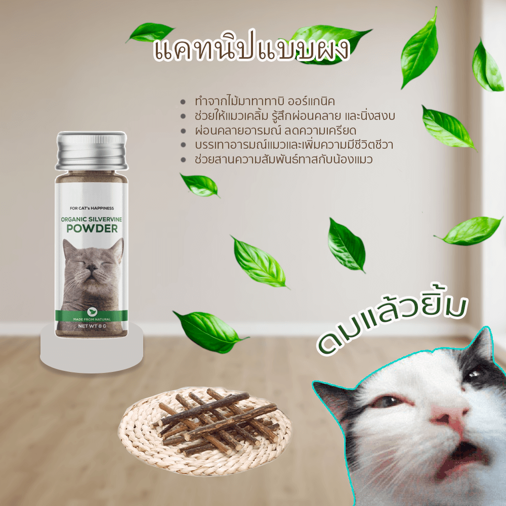 แคทนิปแบบผงสำหรับแมว THAI SUN SPORT รุ่น PET0009