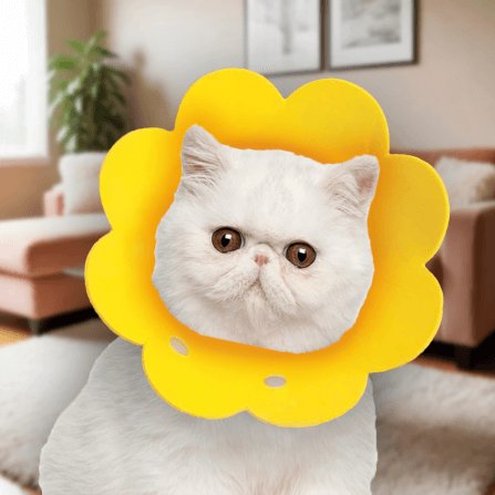 คอลล่าแมว ปลอกคอกันแมวเลีย THAI SUN SPORT รุ่น PET0026_3