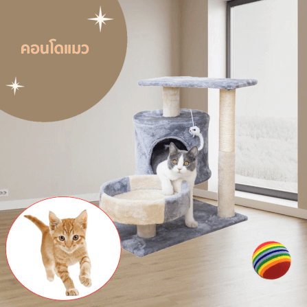 คอนโดแมว THAI SUN SPORT รุ่น PET0051GY เทาอ่อน_3