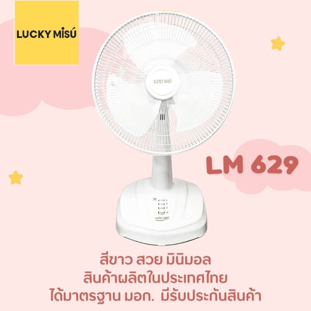 พัดลมตั้งโต๊ะ 16