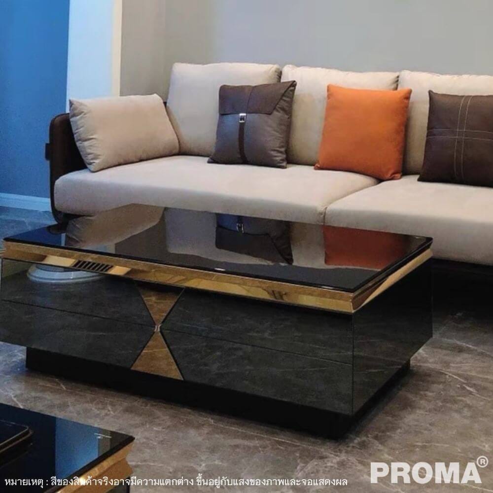 [Pre-order] โต๊ะกลาง PROMA TVS-05S120B  สีดำ_2
