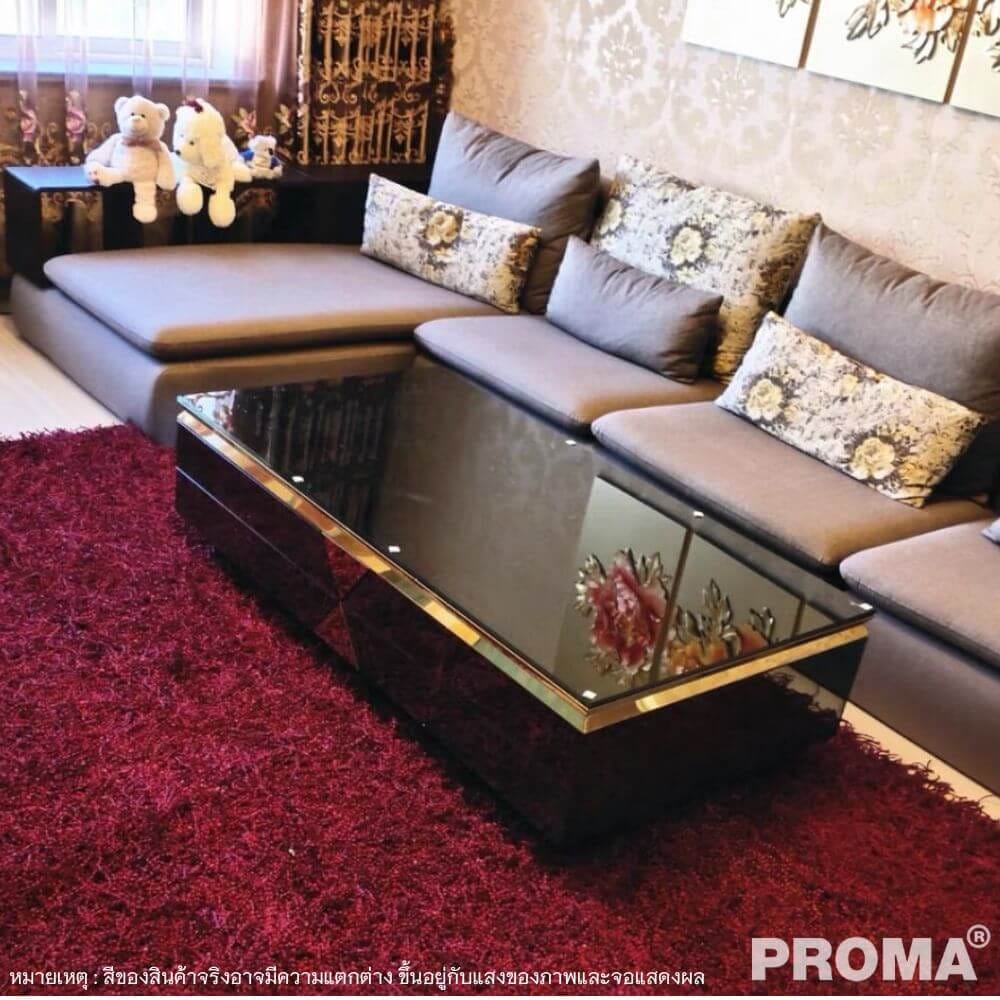 [Pre-order] โต๊ะกลาง PROMA TVS-05S120B  สีดำ_5