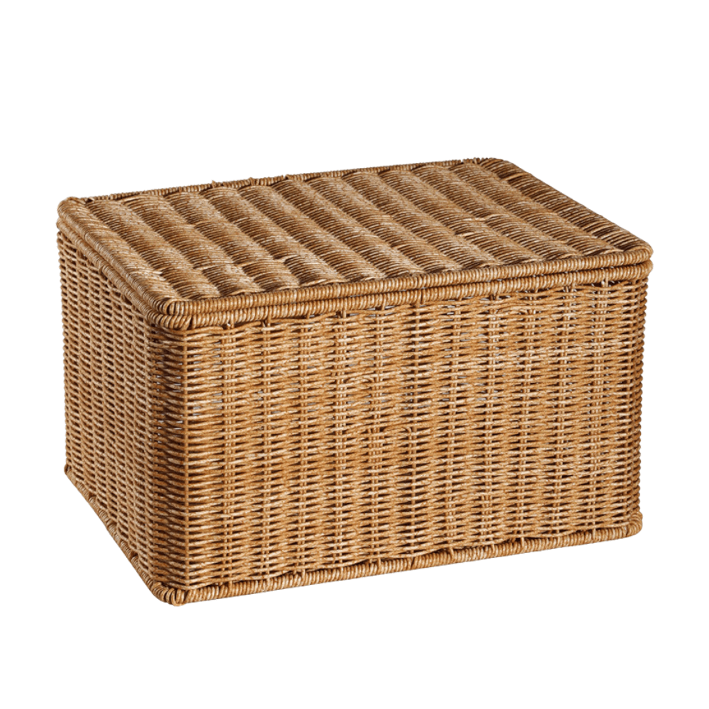 กล่อง หวายสังเคราะห์ COZYBROWN TP0024-01 น้ำตาลอ่อน 28x18x17 ซม._0