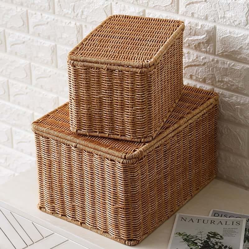กล่อง หวายสังเคราะห์ COZYBROWN TP0024-01 น้ำตาลอ่อน 28x18x17 ซม._4