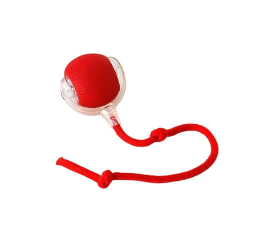 ลูกบอลกลิ้งได้ ZEZE SMART ROLLING BALL สีแดง_0