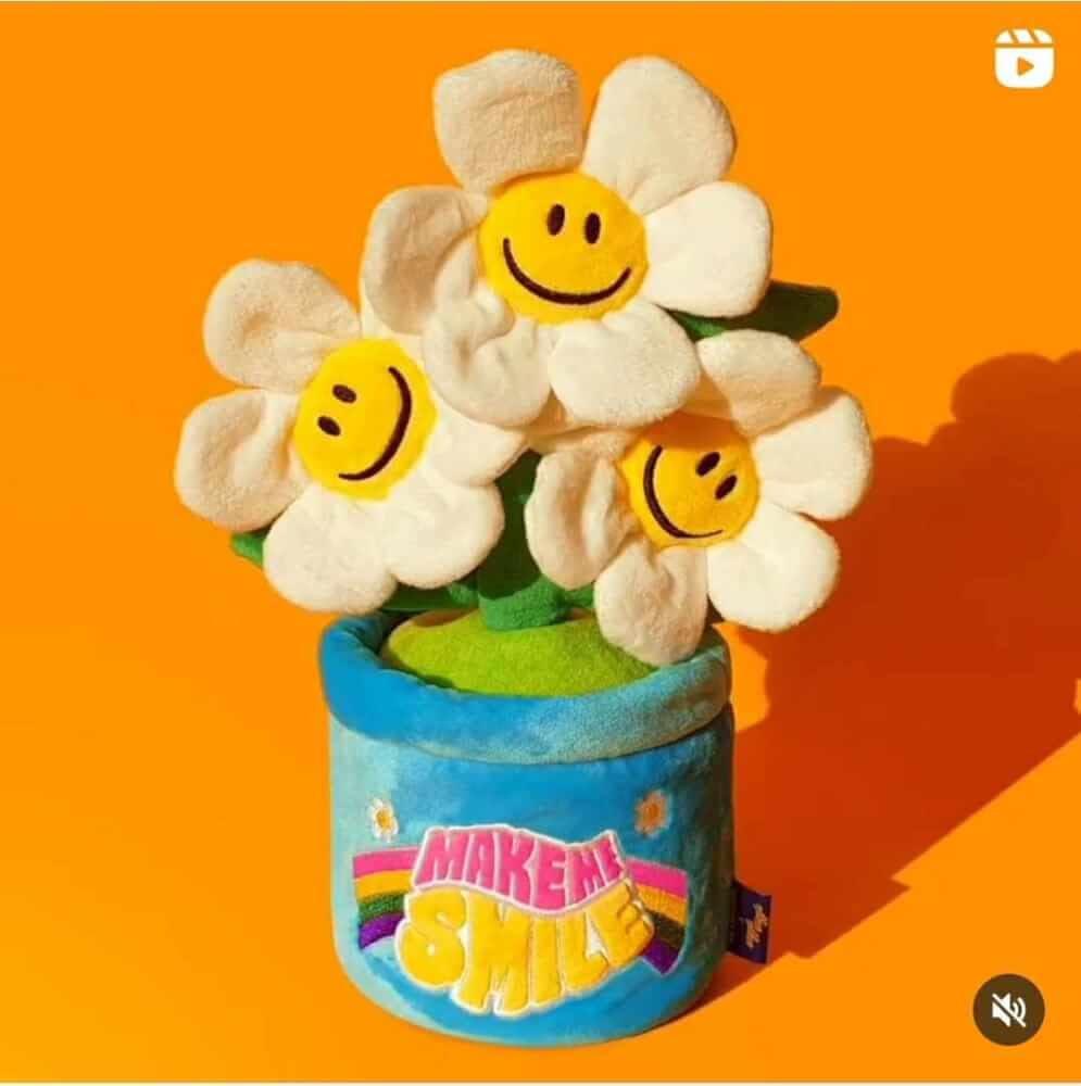 ของเล่นผ้านุ่ม PETHROOM NOSE WORK TOY - SMILE WE LOVE สำหรับสุนัขและแมว_1