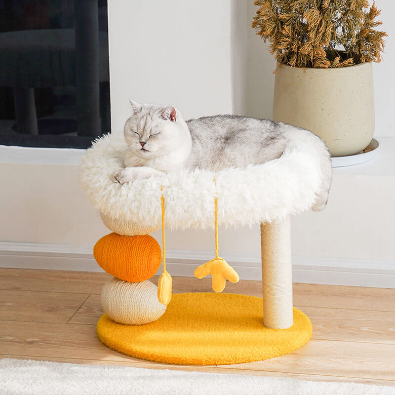 คอนโดแมว ZEZE CLUCK CAT SCRATCHING POST ทรงแมวฟักไข่_1