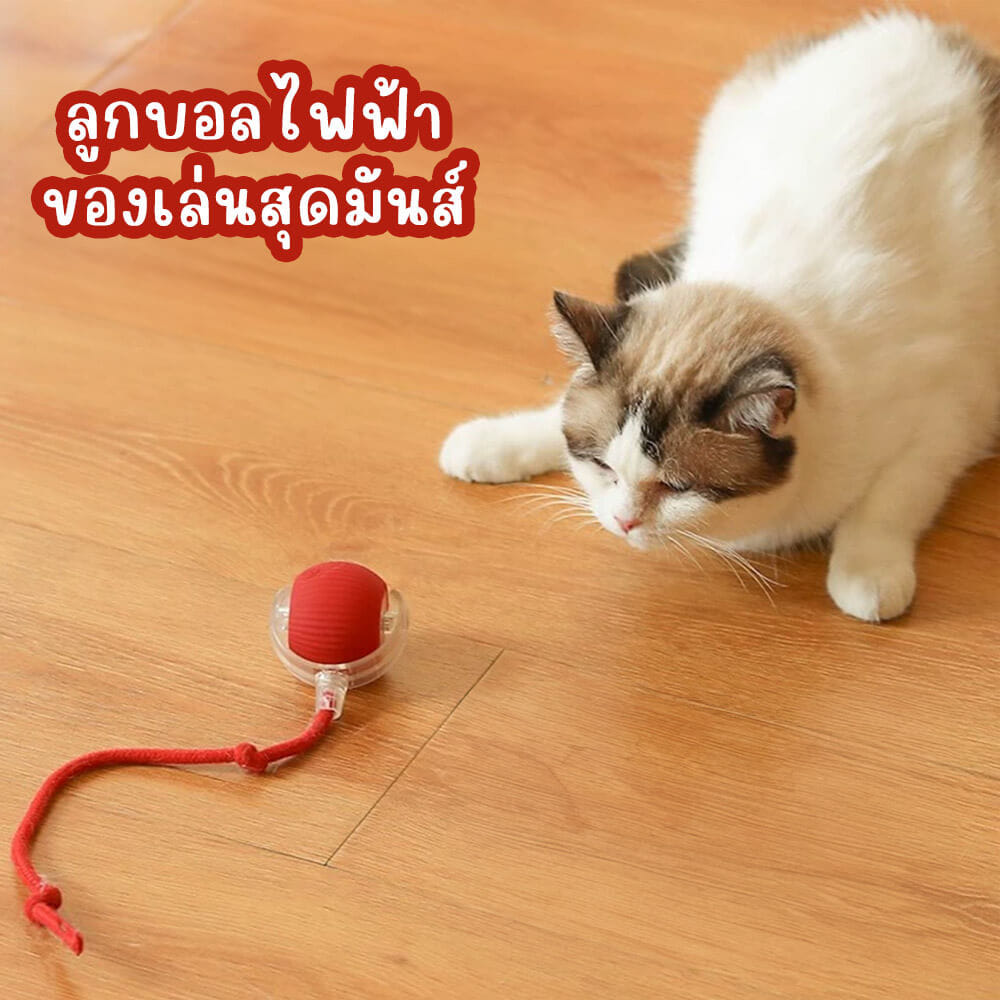 ลูกบอลกลิ้งได้ ZEZE SMART ROLLING BALL สีเทา_1