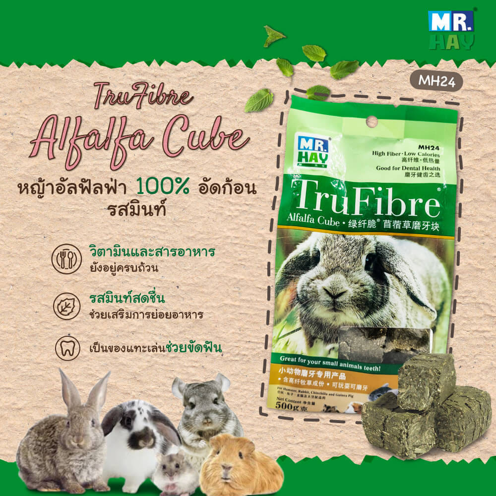หญ้าอัลฟัลฟ่า อัดก้อน MR.HAY TRUFIBRE ALFALFA CUBE รสมินต์ (MH24) (500G)