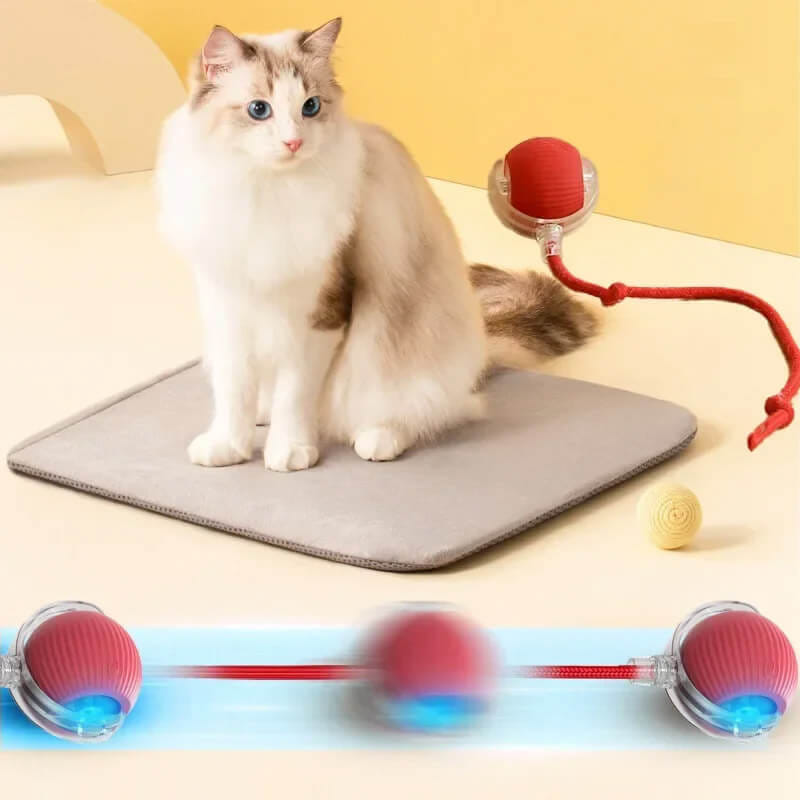 ลูกบอลกลิ้งได้ ZEZE SMART ROLLING BALL สีแดง_2