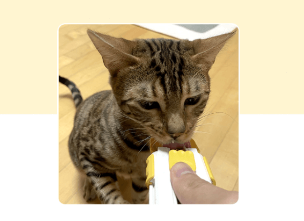 ช้อนรูดขนมครีมเลีย PETHROOM SIDING PET SPOON สำหรับทั้งแมวและสุนัข_3