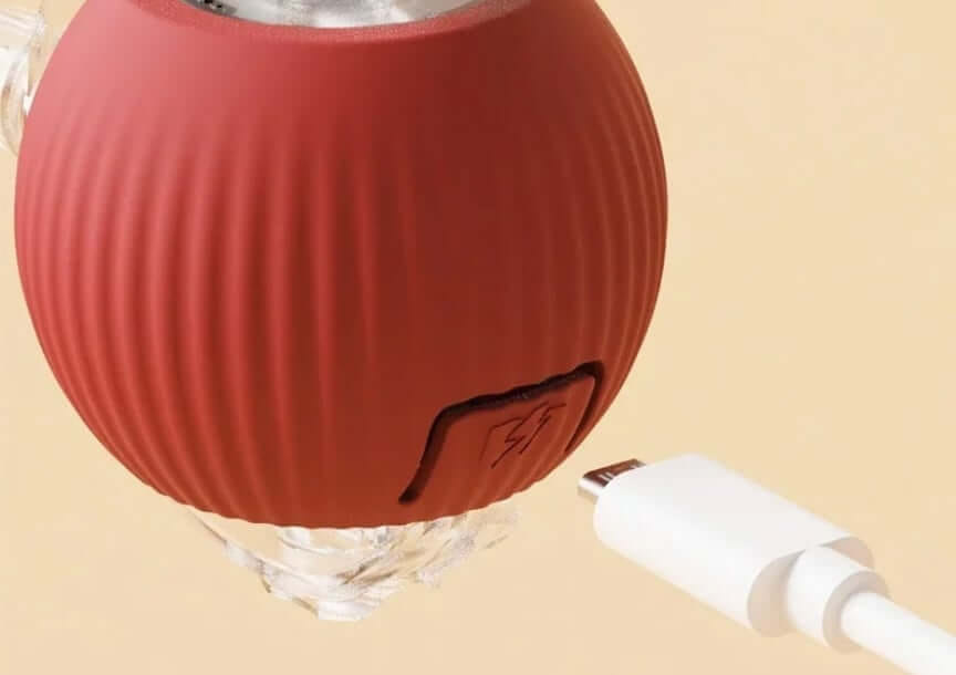 ลูกบอลกลิ้งได้ ZEZE SMART ROLLING BALL สีเทา_3