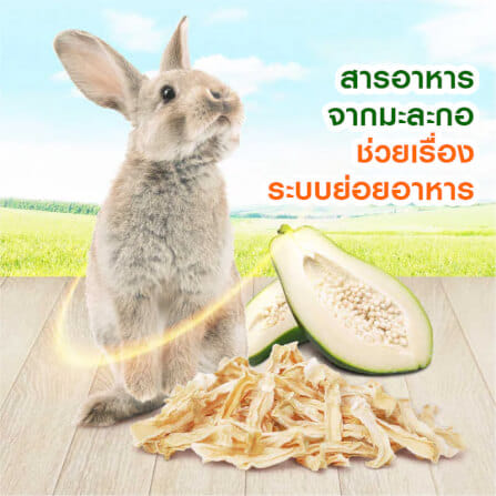 มะละกอเขียวสดอบแห้ง MR.HAY TRUFIBRE (MH41) 50G_1