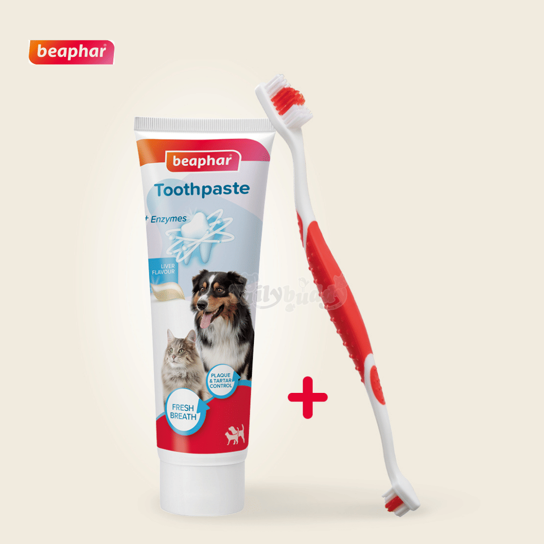 ชุดยาสีฟัน+แปรงสีฟันสำหรับสุนัข BEAPHAR DOG-A-DENT 100 กรัม_2