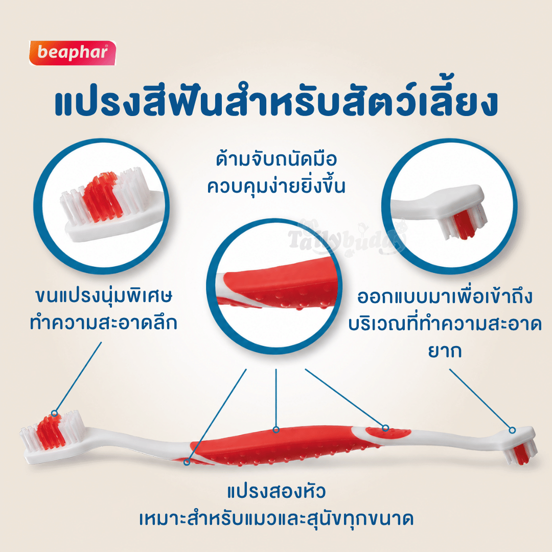 ชุดยาสีฟัน+แปรงสีฟันสำหรับสุนัข BEAPHAR DOG-A-DENT 100 กรัม_3