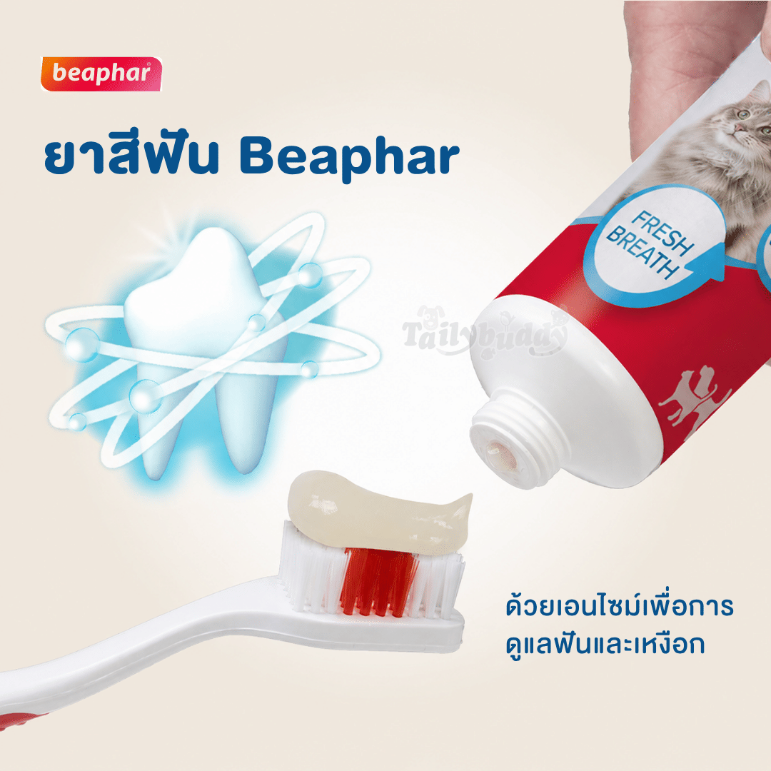 ชุดยาสีฟัน+แปรงสีฟันสำหรับสุนัข BEAPHAR DOG-A-DENT 100 กรัม_4