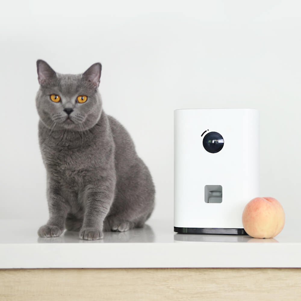 เครื่องโยนขนมสัตว์เลี้ยง  XIAOMI PAWBBY Smart Pet Snack Machine_1
