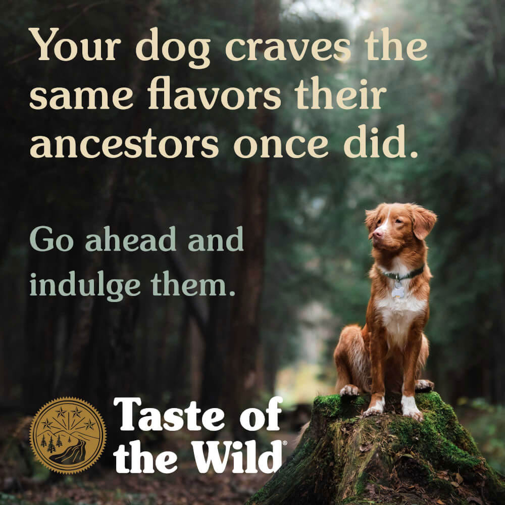 อาหารสุนัข TASTE OF THE WILD PACIFIC STREAM CANINE สูตรเนื้อปลา (680กรัมX2)_3