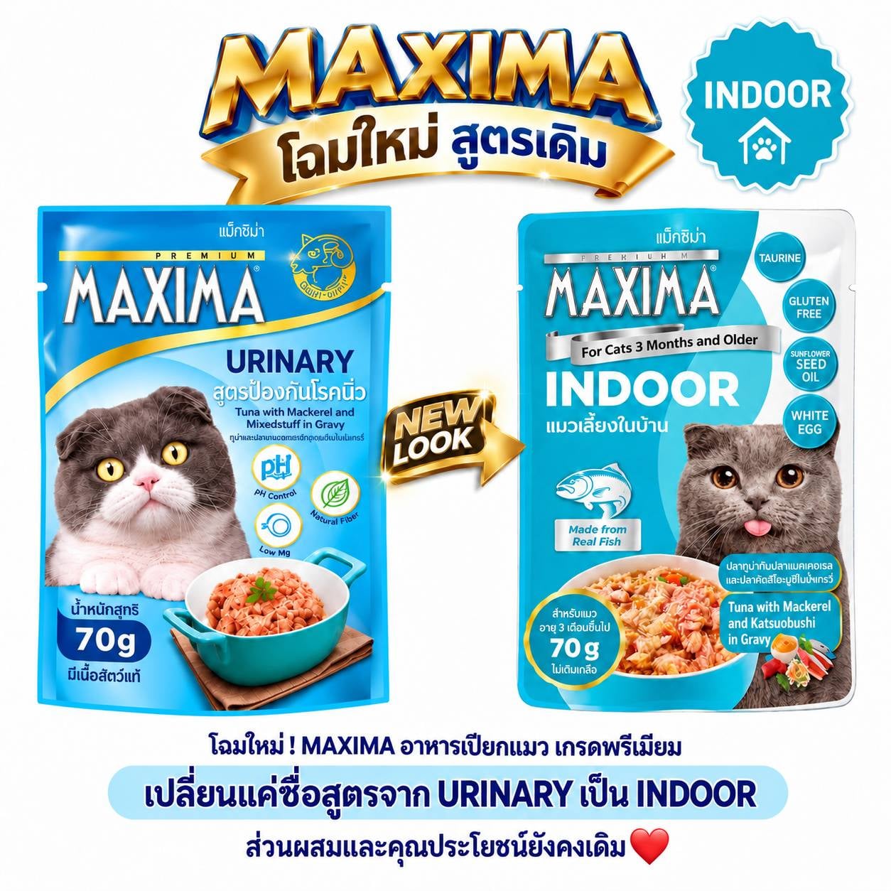 อาหารเปียกแมว แม็กซีม่า สูตร INDOOR 70 กรัม (X48 ซอง)_7