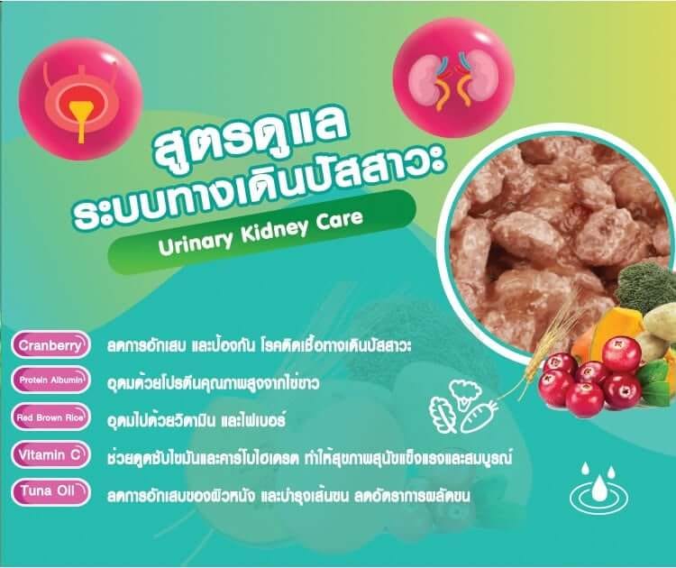 อาหารเปียกสุนัข แม็กซีม่า สูตรดูแล ระบบทางเดินปัสสาวะ 380 กรัม x24