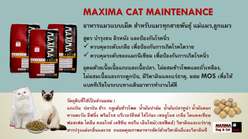 อาหารเม็ด สำหรับแมว แม็กซีม่า 2 กก