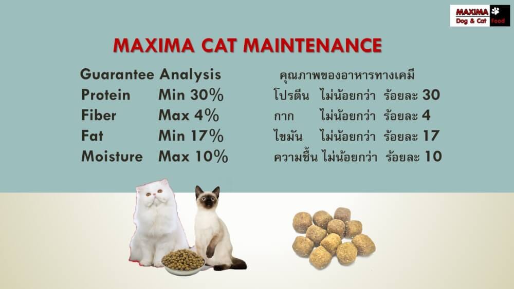 อาหารเม็ด สำหรับแมว แม็กซีม่า 2 กก