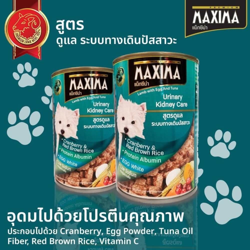 อาหารเปียกสุนัข แม็กซีม่า สูตรดูแล ระบบทางเดินปัสสาวะ 380 กรัม x24