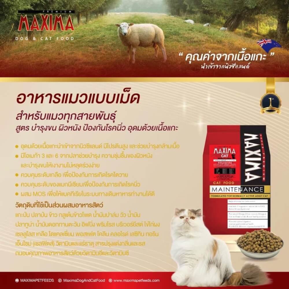 อาหารเม็ด สำหรับแมว แม็กซีม่า 2 กก